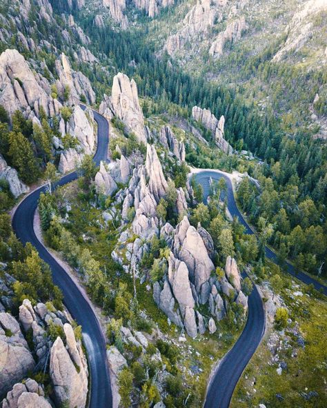 The Lakota first called the mountains that rumple South Dakota paha sapa, or black hills, because of the way pines darken their forms from a distance. This aerial shot of the Needles Highway in Custer State Park shows the area from a remarkable perspective. Custer State Park South Dakota, Needles Highway, South Dakota Road Trip, South Dakota Vacation, South Dakota Travel, Newborn Animals, Black Hills South Dakota, Mountain Goats, Custer State Park