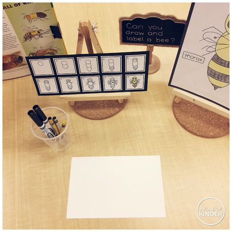 Kindergarten Inquiry, Bug Activities, Science Inquiry, Insects Preschool, Bee Activities, Bee Invitations, Inquiry Learning, Spring Kindergarten, Insects Theme