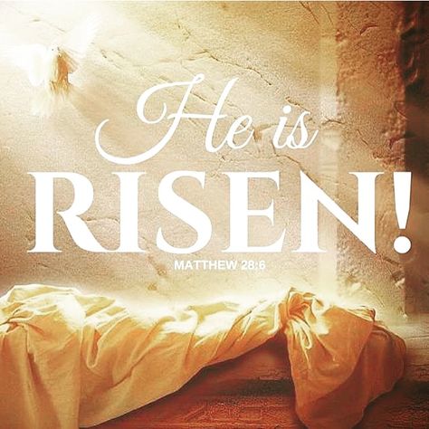 “He is not here; He has risen, just as He said. Come and see the place where He lay.” •Matthew 28:6 NIV Easter Bible Quotes, Risen Just As He Said, Isaiah 12 2, Christian Photos, Medical Office Design, Jesus Is Risen, He Has Risen, Easter Quotes, Lds Art