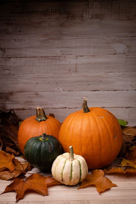 Vertical shot of pumpkins surrounded by ... | Free Photo #Freepik #freephoto #poster #tree #wood #table Fall Container Plants, Garden Tattoos, Pumpkin Wallpaper, Fall Drawings, Pumpkin Photos, Iphone Wallpaper Fall, Still Life Photos, Autumn Scenes, Apple Watch Wallpaper