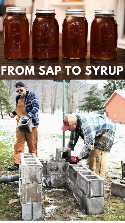 Diy Maple Syrup Evaporator, Maple Syrup Taps, Diy Maple Syrup, Maple Syrup Evaporator, Maple Sugaring, Homesteading Ideas, Simple Syrup Recipes, Worm Composting, Homemade Syrup