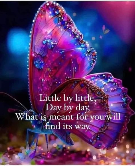 Beautiful Butterflies Quotes, Butterflies Quotes, Butterfly Blessings, Whatsapp Pictures, Morning Gifs, Butterfly Quotes, Butterfly Love, Spiritual Prayers, Beautiful Butterflies Art