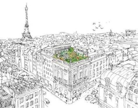 The Hermès Secret Garden on a Paris Rooftop | Messy Nessy ChicMessy Nessy Chic Happy Bastille Day, Parisian Garden, Paris Rooftops, Paris Illustration, Garden Illustration, Bastille Day, Garden Drawing, Garden Images, I Love Paris