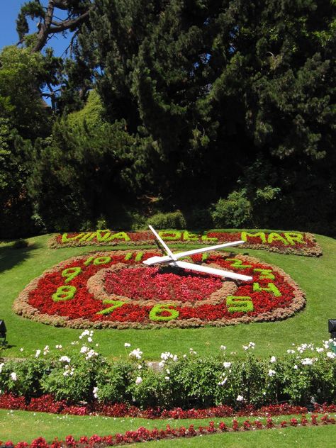 Flower Clock, Vina del Mar Vina Del Mar Chile, Flower Clock, Vina Del Mar, Overseas Travel, Easter Island, Incredible Places, Travel Around The World, Beautiful World, Wonders Of The World