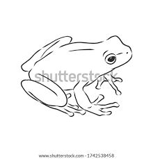 Frog Outline Drawing, Poison Dart Frog Drawing, Simple Frog Tattoo, Frog Drawing Sketches, Frog Line Art, Frog Line Drawing, Frog Tattoo Design, Frog Outline, Frog Template