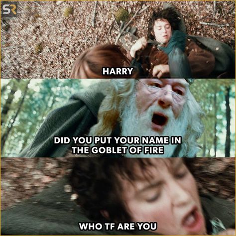 #middleearth#tolkien#lordoftherings#jrrtolkien#hobbit#lotr#thelordoftherings#lordoftheringsmemes#frodo#middleearthuniverse#lordoftheringsfan#tolkienbooks#lotrmovies#lordofthering#newzealand#nerd#lotrmeme#lotrmemes#mems#meme#HarryPotter#WizardingWorld#FantasticBeasts#HogwartsLegacy#AlbusDumbledore#JKRowling#meme#funny#humor#memes#memesdaily#lol#HarryPotterMemes#HarryPotterMeme Gandalf You Shall Not Pass Lotr, Funny Hobbit Memes, Lotr Funny Memes Hilarious, The Hobbit Memes Hilarious, The Hobbit Funny, Lotr Memes Funny, Gandalf Funny, Funny Lotr, Lotr Fanart