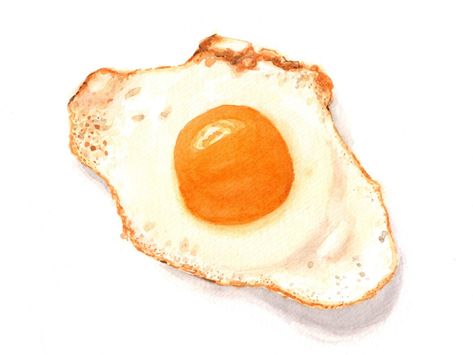 Fried Egg Drawing, Egg Reference, Egg Patty, Egg Drawing, Watercolor Study, Oc Reference, Clay Art Projects, Real One, Water Colour