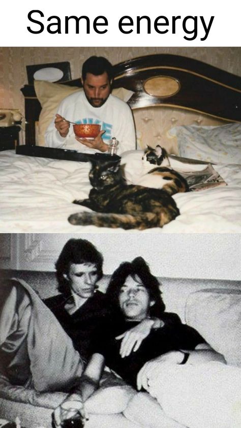 David Bowie Mick Jagger, Musician Humor, Same Energy, Life On Mars, Ziggy Stardust, Queen Band, Mick Jagger, Rock Legends, Music Humor