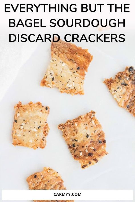 Sourdough Discard Crackers, Discard Crackers, Sourdough Crackers, South Indian Kitchen, Recipe Using Sourdough Starter, Everything But The Bagel, Dough Starter, Sourdough Starter Discard Recipe, Bread Starter