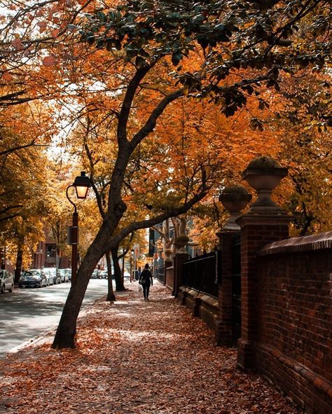 Fall In Philadelphia, Old City Philadelphia, Autumn Story, Cobblestone Street, Fall City, Cobblestone Streets, Spooky Szn, Christian Girl, Historic District