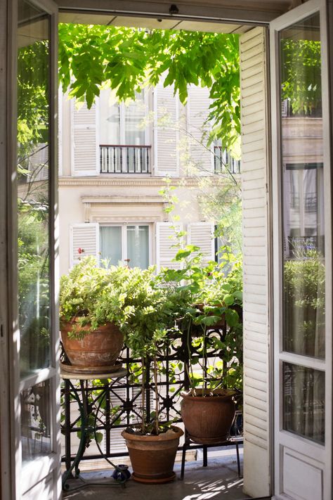 How to Garden Like a Frenchwoman: 10 Ideas to Steal from a Paris Balcony Parisian Balcony, Paris Balcony, Small Urban Garden, French Balcony, Balkon Decor, Apartment Balcony Garden, Small Balcony Garden, Small Balcony Design, Balcony Plants