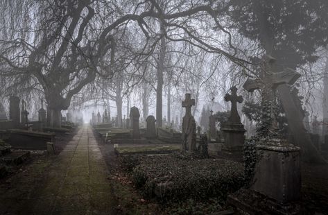 Paradis Sombre, Père Lachaise Cemetery, Old Cemetery, Old Cemeteries, Southern Gothic, Gothic Aesthetic, The Fog, Six Feet Under, Gothic Architecture