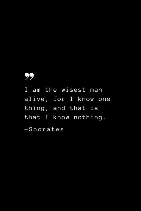 I Know That I Know Nothing Socrates, Check Quotes, Wise Man Quotes, Lion Gate, Words Of Courage, Zig Ziglar Quotes, Socrates Quotes, Nietzsche Quotes, I Know Nothing