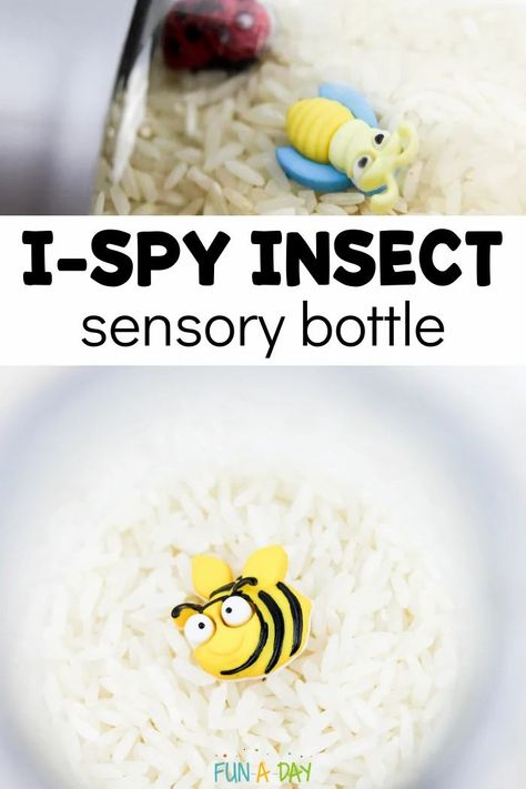 Use dry ingredients to make a super simple I Spy sensory bottle. Some kids will love the noise and others will love finding the insects hiding inside. But all of them will have an awesome, educational experience! It's great for an insect theme or anytime. Insect Sensory, Tactile Sensory Activities, Calm Down Jar, Sensory Activities For Preschoolers, Lesson Plan Ideas, Summer Preschool Activities, Insects Preschool, Discovery Bottles, Sensory Bottle