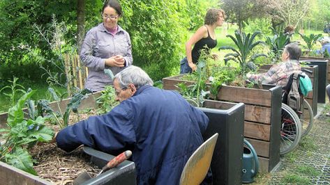 Library Project, Sensory Garden, Community Garden, Disabled People, Active Living, Cooking School, Community Gardening, Urban Landscape, Dream Garden