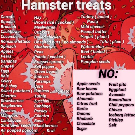 Diy Hamster Boredom Breakers, Hamster Meal Plan, Homemade Hamster Food, Syrian Hamster Food List, Hamster Treats Diy, Diy Hamster Food Recipes, Boredom Breakers For Hamsters, Hamster Things Diy, Small Hamster Cage Ideas