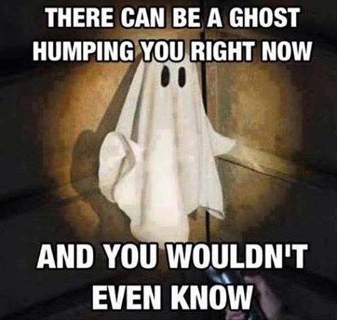 Ghost humping Ghost Adventures, Ghost Hunters, Ghost Writer, Ghost Hunting, Ghost Stories, Bones Funny, Halloween Funny, Funny Dogs, Funny Pictures