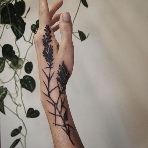 Rita von Lehe on Instagram: “Mimosa/acacia for Amy, what a dream placement... Thank you 🙏” Acacia Tattoo, Mimosa, Geometric Tattoo, Flower Tattoo, Piercings, Tattoo Ideas, Tattoos, Thank You, On Instagram