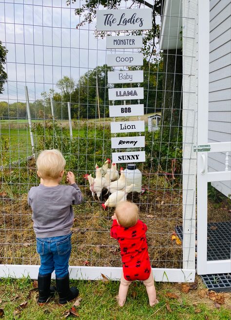 Chicken Coop Names Clever, Diy Chicken Name Sign, Cute Chicken Names, Chicken Coop Name Signs Diy, Chicken Coop Name Signs, Chicken Name Signs, Cricut Chicken Coop Signs, Diy Chicken Coop Decor Wood Signs, Chook Pen