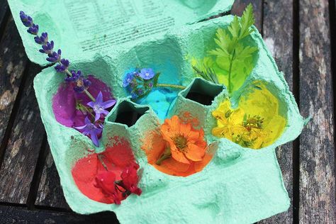 Rainbow Scavenger Hunt, Color Vision Deficiency, Rainbow Nature, Nature Scavenger Hunt, Dream Birthday, Birthday 2023, Sensory Garden, Red Petals, School Garden