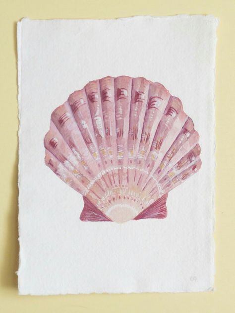 Seashell Drawing, Seashell Illustration, Shell Artwork, Scallop Seashell, Shell Drawing, Illustration Beach, Art Coquillage, Sea Life Art, Seashell Painting