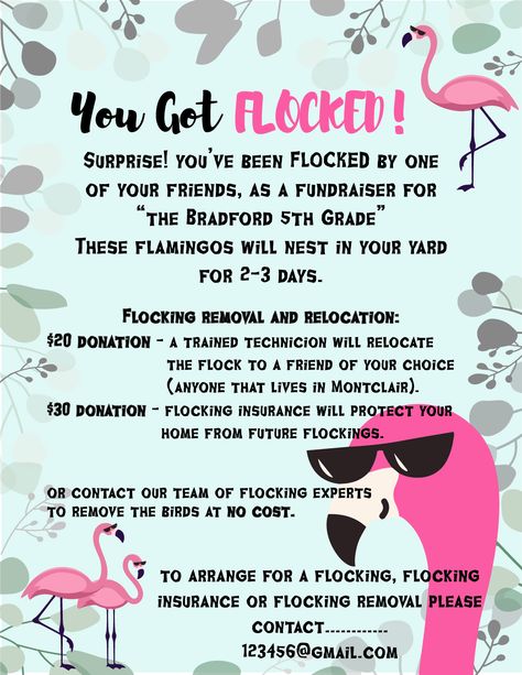 Flocking Fundraiser Ideas, Dig Pink Fundraising Ideas, Fundraiser Ideas For Cheerleading, Hs Fundraiser Ideas, In School Fundraising Ideas, Fun Fundraising Ideas Creative, Fundraising For Cheerleading, You’ve Been Flocked Fundraiser, Club Fundraiser Ideas