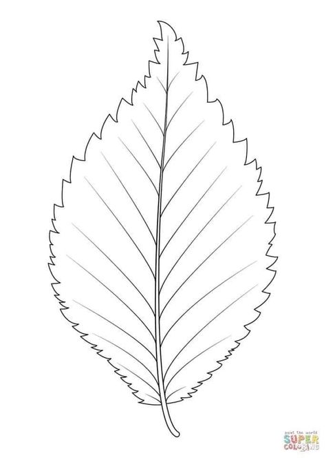 Elm Leaf Tattoo, Leave Tattoo Design, Leave Tattoo, Elm Leaf, Leaves Sketch, Leaf Coloring Page, Autumn Party, Blue Tattoo, Leaf Coloring