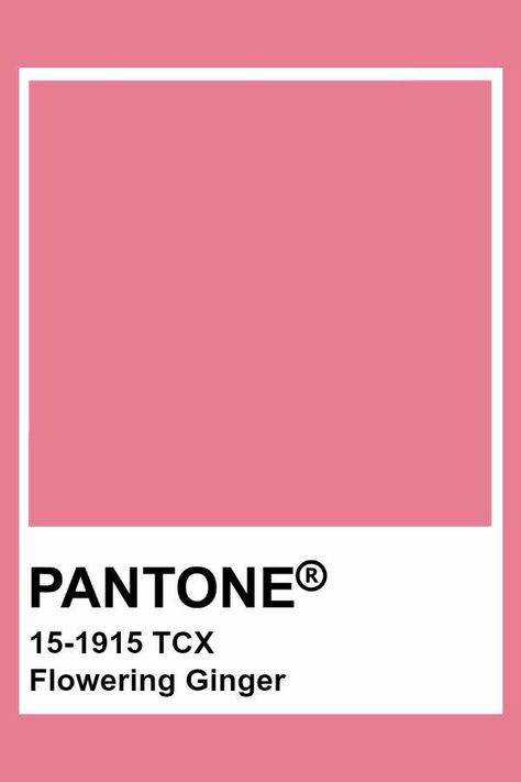 Barbie Pink Pantone, Pink Pantone Shades, Pantone Colour Palettes Pink, Pantone Peony, Pink Pantone Colors, Pink Pantone Palette, Color Swatches Pink, Hot Pink Pantone, Light Pink Pantone