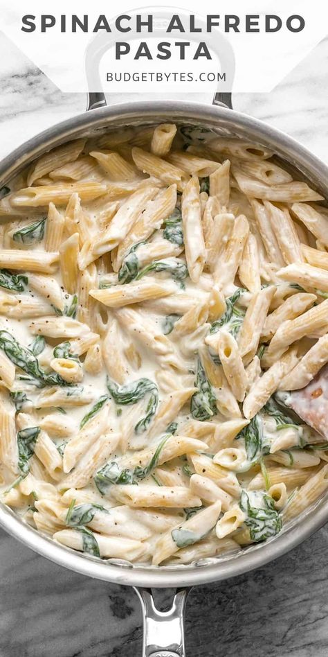 Spinach Alfredo Pasta, Spinach Alfredo, Resep Pasta, Pasta Alfredo, Budget Bytes, Spinach Pasta, Alfredo Pasta, Makanan Diet, Idee Pasto Sano