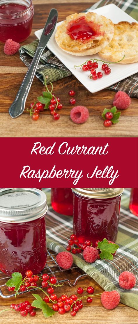 Raspberry Jelly Recipe, Red Currant Jam, Currant Jam, Jam Canning, Currant Jelly, Raspberry Jelly, Jelly Recipe, Raspberry Recipes, Red Jelly