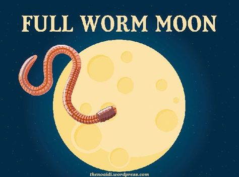 In this post I will share the facts behind March's Worm moon and also some magickal rituals you can do. #astrology #fullmoon #moonphase #wormmoon #magick #wicca #witch #pagan #heathen #norseheathen #shaman #noaidi #bruja #babywitch March Full Moon, Worm Moon, Vernal Equinox, End Of Winter, Moon Witch, Baby Witch, Lunar Eclipse, Moon Phases, Full Moon