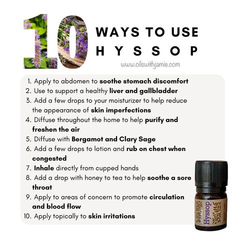 Common Myrtle, Hyssop Essential Oil, List Of Essential Oils, Doterra Essential Oils Recipes, Healing Essential Oils, Yl Oils, Essential Oils Guide, Birth Doula, Essential Oil Benefits