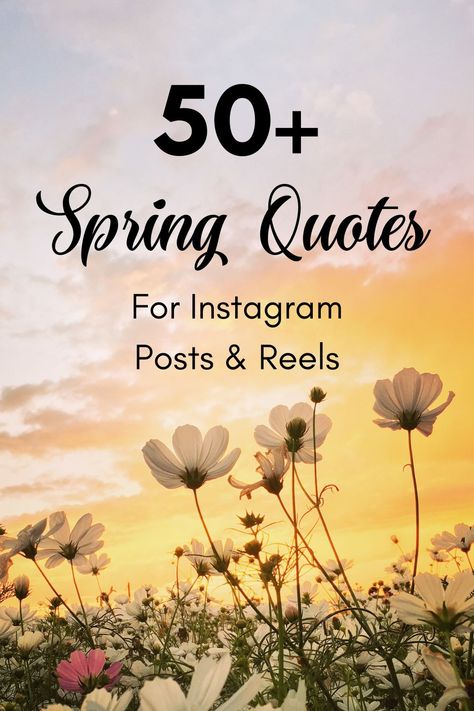 50-plus Spring quotes for Instagram posts and reels. Spring Growth Quotes, Spring Time Quotes Inspiration, Spring Quotes Inspirational Life, Springtime Quotes Inspiration, Happy Spring Quotes Inspiration, Spring Phrases Quotes, Spring Quotes Aesthetic Short, April Quotes Spring, Quotes About Spring And New Beginnings