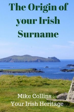 Irish History Facts, Irish Books, Genealogy Ireland, Free Genealogy Sites, Genealogy Ideas, Irish Surnames, Irish Genealogy, Irish Ancestry, Ancestry Family Tree