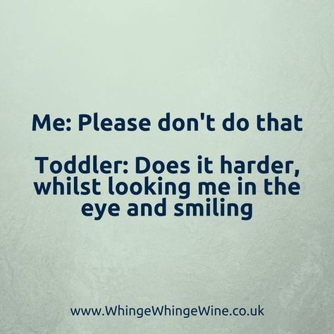 Toddler Quotes, Quotes Funny Life, Motherhood Funny, Life Adventure, Mom Life Quotes, Toddler Humor, Mom Memes, Funny Mom Quotes, Funny Quotes For Teens