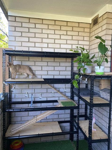 Kitty Condo Diy Cat Enclosure, Apartment Catio Cats, Garage Cat House, Apartment Patio Catio, Indoor Cat House Ideas, Diy Cat Kennel, Cat Building Ideas, Diy Cat Catio, Cat Balcony Enclosure