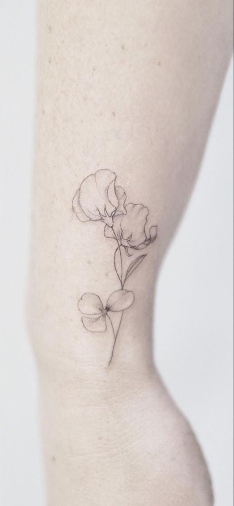 Plant Tattoo With Roots, Sweetpea Tattoo Black And White, Sweet Pea Tattoo Simple, Sweetpea Flower Tattoo, Sweat Pea Tattoo, Sweet Pea Flower Tattoo, Pea Tattoo, Sweet Pea Tattoo, Boys Tattoo