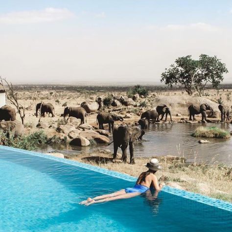 20 Destinations to Warm You up This Winter | Four Seasons Safari Lodge, Serengeti Safari Honeymoon, Soneva Jani, Large Wedding Venues, Serengeti Tanzania, Top Honeymoon Destinations, Africa Vacation, Safari Vacation, Great Migration, Zanzibar Tanzania