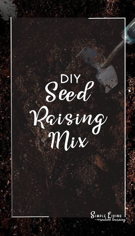 With just a few ingredients, you can make your own seed raising mix giving your plants the best start for growing into strong, healthy plants. How To Start Vegetable Seeds Indoors, Easy Seeds To Grow With Kids, Rooting Hormone Diy Plant Cuttings, Compost Bucket, Seed Raising, Seed Starting Mix, Seed Germination, Peat Moss, Unit Studies