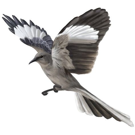 Flying Northern Mockingbird by CreationsByBear | Redbubble Northern Mockingbird, Mocking Bird, Mocking Birds, Bird Flying, Redbubble Art, Birds Flying, Face Drawing, Hunger Games, Top Artists