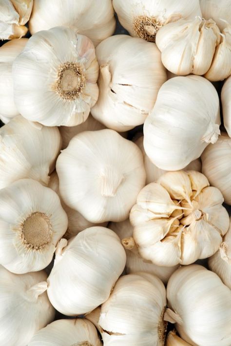 Garlic - Hardneck vs. Softneck, The Best Type for Your Garden – Our Country Life Baltimore Food, Fire Cider Recipe, Kidney Friendly Diet, Hardneck Garlic, How To Store Garlic, Garlic Health Benefits, Garlic Benefits, Natural Disinfectant, Fire Cider