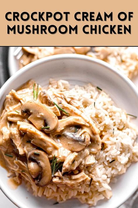 Mushroom Recipes Crockpot, Mushroom Chicken Crockpot, Slow Cooker Chicken Mushroom, Crockpot Mushrooms, Mushroom Slow Cooker, Chicken And Rice Crockpot, Easy Crockpot Recipes Healthy, Cream Of Mushroom Chicken, A Few Hours Later