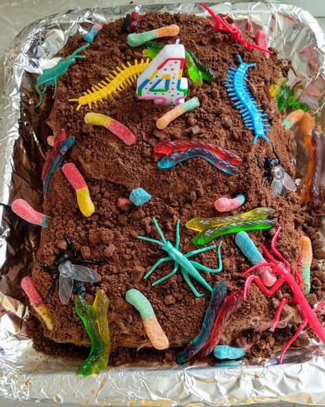 Birthday Dirt Cake, Bugs Birthday Cake, Insect Cake Ideas, Dirt And Worms Cake, Worm Birthday Cake, Insect Birthday Cake, Dirt Birthday Cake, Worm Birthday Party, Reptile Birthday Cake