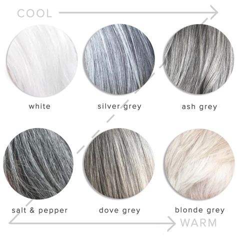 Grey Hair Colour Chart, Pelo Color Ceniza, Shades Of Gray Hair, Ash Grey Hair, Grey Hair Color Silver, Grey Hair Dye, Grey Hair Transformation, Grey Hair Inspiration, Colour Analysis