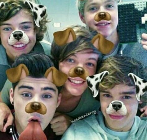 One of those rare pics where they all look in ONE DIRECTION  You know what I mean One D, Cute Little Puppies, Little Puppies, Liam Payne, Niall Horan, Louis Tomlinson, One Direction, Dogs