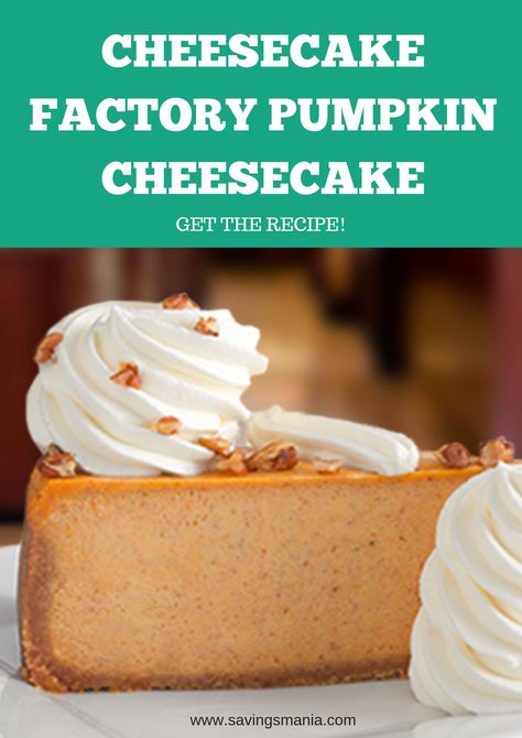 Cheesecake Factory Pumpkin Cheesecake Copycat Recipe - Recipes - SavingsMania Cheesecake Factory Pumpkin Cheesecake, Slice Of Cheesecake, Dessert Halloween, Cheesecake Factory Recipes, The Cheesecake Factory, Pumpkin Cheesecake Recipes, Cheesecake Dessert, Cheesecake Factory, Copycat Recipe