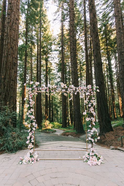 Magnolia Wedding Arch in UC Botanical Garden at Berkeley | Event Planning, Styling & Design: Manna Sun Events | Photographer: Studio OPiA Uc Berkeley Botanical Garden Wedding, Botanical Garden Wedding, Magnolia Wedding, Photographer Studio, Botanical Gardens Wedding, Uc Berkeley, Wedding 2025, Marrying My Best Friend, Contemporary Chic