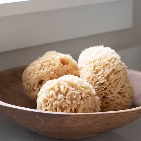 I helped decorate a new home for a friend and these natural sea sponges worked so well in her bathroom. Cradled in a handmade, sustainably-sourced Amazonian hardwood bowl, the sea sponges make a real statement! Knowing that the sea sponge bed will grow even stronger by hand harvesting them and the part of the Amazon Rain Forest is left pristine because only three trees are taken out on foot every 30 years gives me peace-of-mind❣️ Sea Sponge Decor, Bathing Sponge, Sponges Sea, Natural Bubble Bath, Sea Sponge Soap, Natural Sea Sponge, Holy Grail Products, Marine Decor, Decorating A New Home