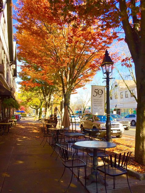 Main Street in Ridgefield , CT Small Town Connecticut, Main Street Aesthetic, Ridgefield Connecticut, City Reference, Ridgefield Ct, Juniper Hill, Amity Island, Pokemon Regions, Street Trees