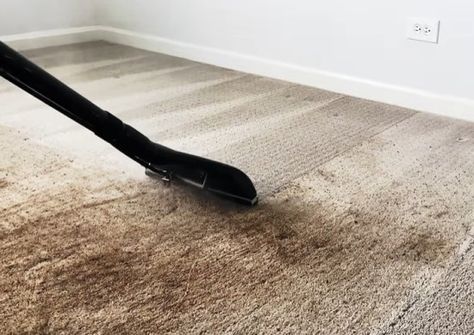 Shampooing Carpets Tips, Steam Cleaning Carpet, Carpet Shampoo Hacks, Best Carpet Cleaner Machine, How To Shampoo Carpet, Carpet Shampoo Machine, Shampoo Carpet, Carpet Steam Cleaner, Bissell Carpet Cleaner